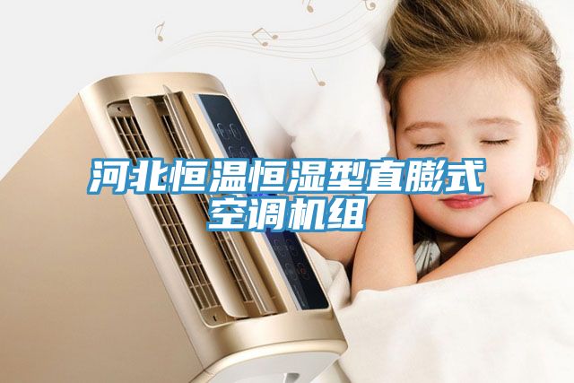 河北恒溫恒濕型直膨式空調(diào)機(jī)組
