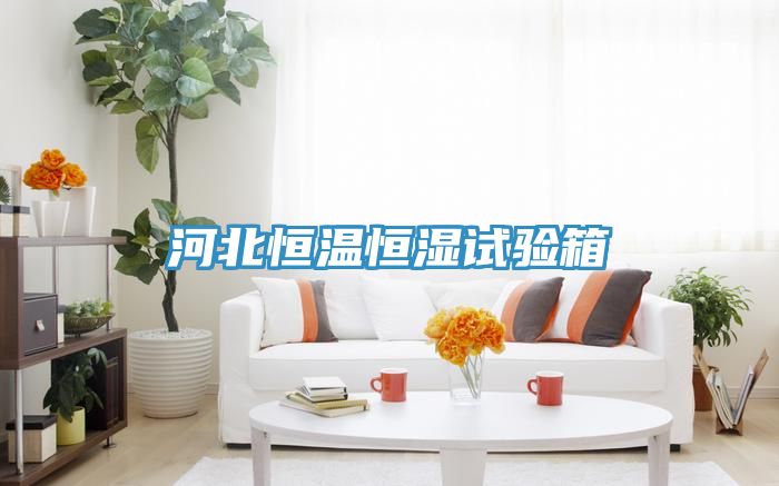 河北恒溫恒濕試驗(yàn)箱