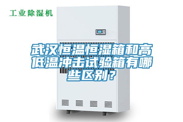 武漢恒溫恒濕箱和高低溫沖擊試驗(yàn)箱有哪些區(qū)別？