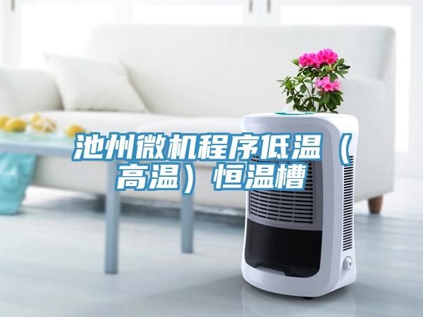 池州微機程序低溫（高溫）恒溫槽