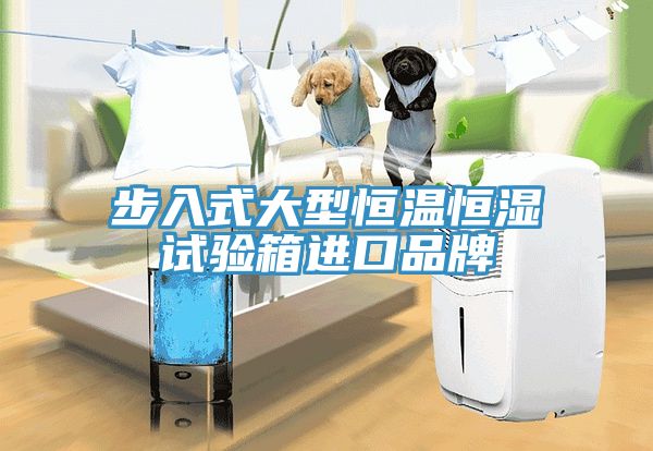 步入式大型恒溫恒濕試驗(yàn)箱進(jìn)口品牌