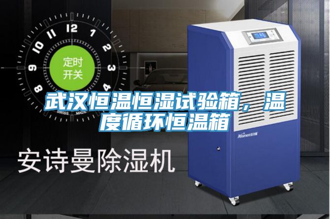 武漢恒溫恒濕試驗(yàn)箱，溫度循環(huán)恒溫箱