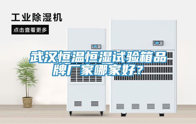 武漢恒溫恒濕試驗(yàn)箱品牌廠家哪家好？