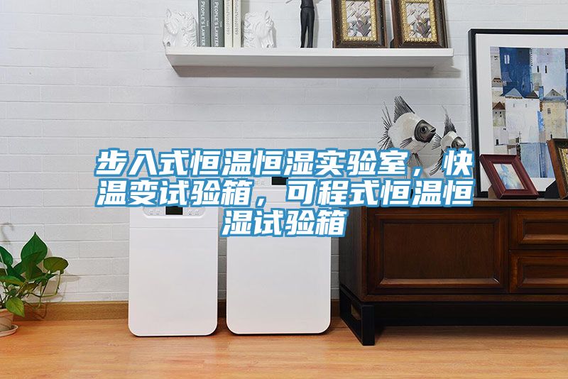 步入式恒溫恒濕實驗室，快溫變試驗箱，可程式恒溫恒濕試驗箱