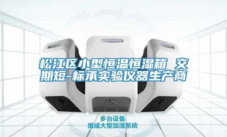 松江區(qū)小型恒溫恒濕箱 交期短-標(biāo)承實(shí)驗(yàn)儀器生產(chǎn)商