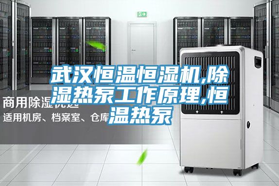 武漢恒溫恒濕機(jī),除濕熱泵工作原理,恒溫?zé)岜?></div>
								<div   id=