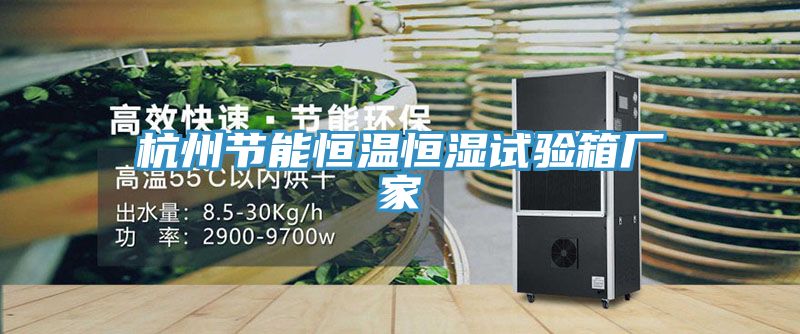 杭州節(jié)能恒溫恒濕試驗箱廠家