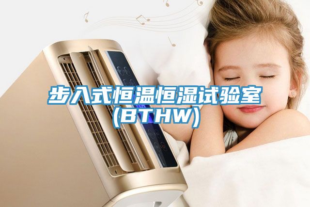 步入式恒溫恒濕試驗(yàn)室(BTHW)