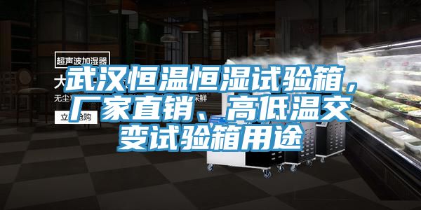 武漢恒溫恒濕試驗(yàn)箱，廠(chǎng)家直銷(xiāo)、高低溫交變?cè)囼?yàn)箱用途