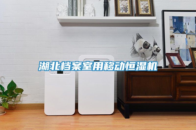 湖北檔案室用移動恒濕機(jī)