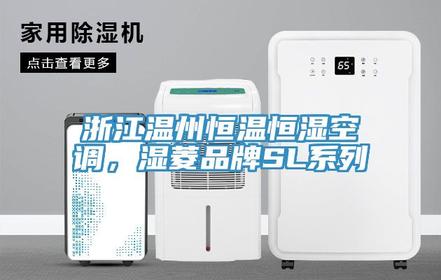 浙江溫州恒溫恒濕空調(diào)，濕菱品牌SL系列