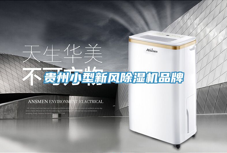 貴州小型新風除濕機品牌
