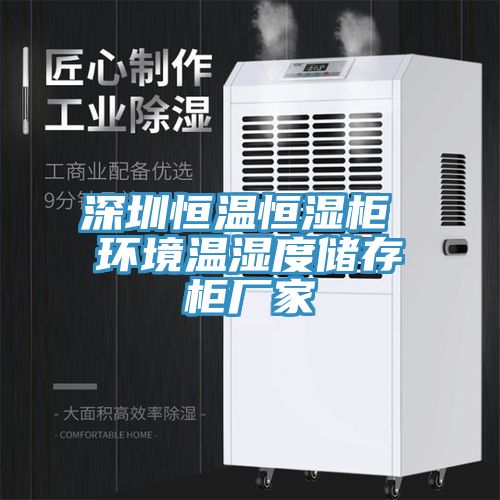 深圳恒溫恒濕柜 環(huán)境溫濕度儲存柜廠家