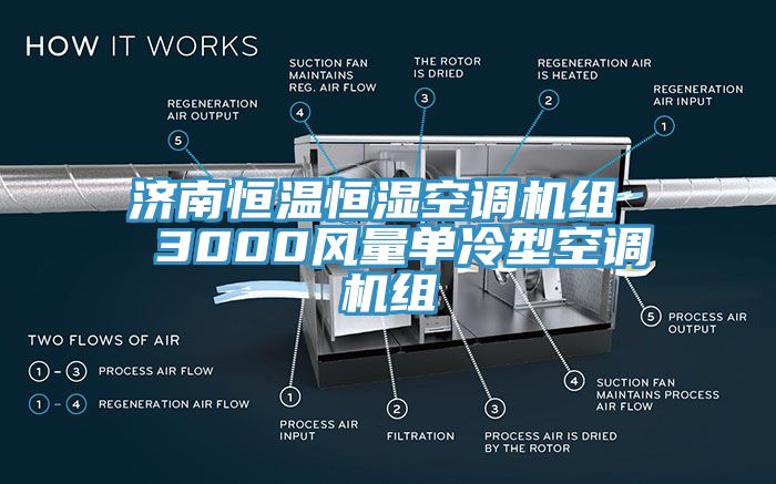 濟南恒溫恒濕空調(diào)機組  3000風(fēng)量單冷型空調(diào)機組