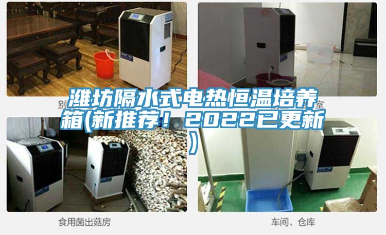 濰坊隔水式電熱恒溫培養(yǎng)箱(新推薦！2022已更新)