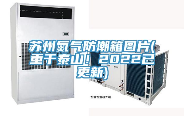 蘇州氮氣防潮箱圖片(重于泰山！2022已更新)