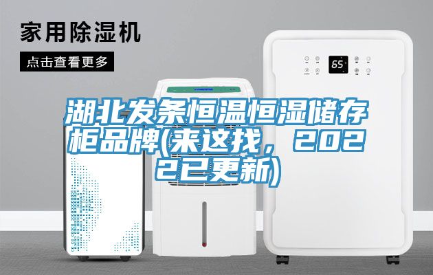 湖北發(fā)條恒溫恒濕儲存柜品牌(來這找，2022已更新)