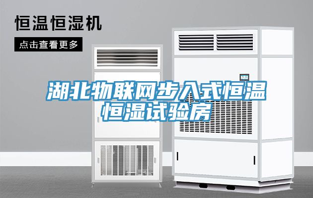 湖北物聯(lián)網(wǎng)步入式恒溫恒濕試驗房
