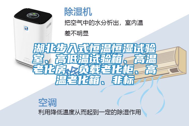湖北步入式恒溫恒濕試驗室、高低溫試驗箱、高溫老化房、負(fù)載老化柜、高溫老化箱、非標(biāo)