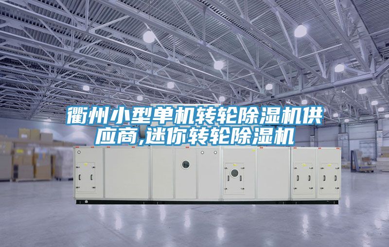 衢州小型單機轉(zhuǎn)輪除濕機供應商,迷你轉(zhuǎn)輪除濕機