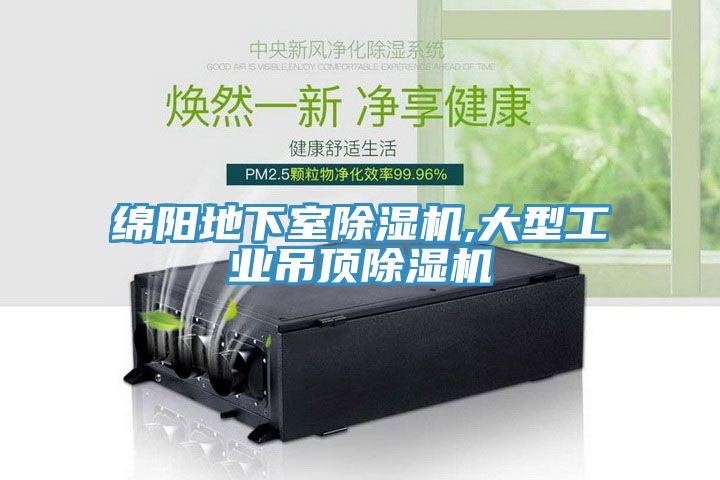 綿陽地下室除濕機(jī),大型工業(yè)吊頂除濕機(jī)