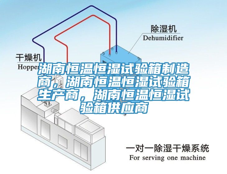 湖南恒溫恒濕試驗箱制造商，湖南恒溫恒濕試驗箱生產(chǎn)商，湖南恒溫恒濕試驗箱供應(yīng)商