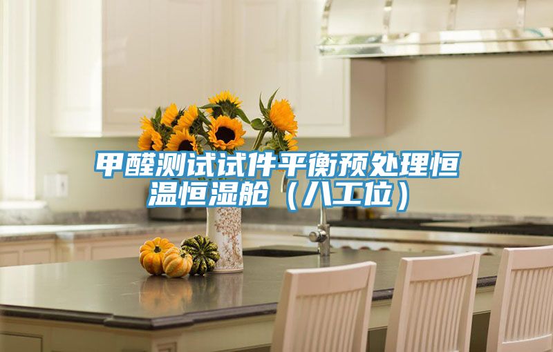 甲醛測(cè)試試件平衡預(yù)處理恒溫恒濕艙（八工位）