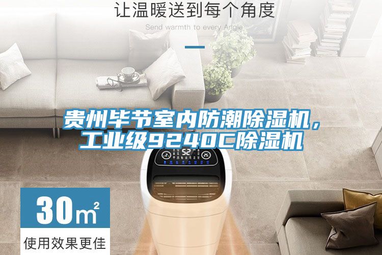 貴州畢節(jié)室內防潮除濕機，工業(yè)級9240C除濕機