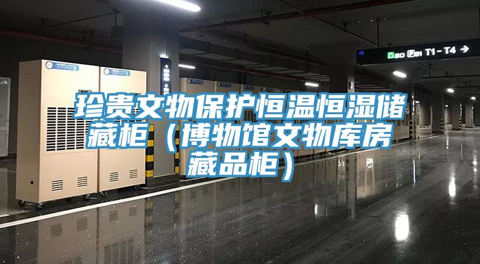 珍貴文物保護(hù)恒溫恒濕儲(chǔ)藏柜（博物館文物庫(kù)房藏品柜）
