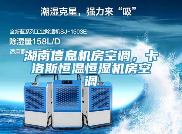 湖南信息機房空調(diào)，卡洛斯恒溫恒濕機房空調(diào)