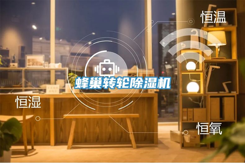 蜂巢轉輪除濕機