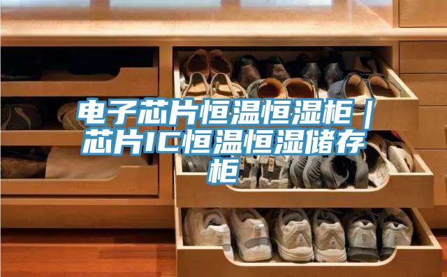 電子芯片恒溫恒濕柜｜芯片IC恒溫恒濕儲(chǔ)存柜