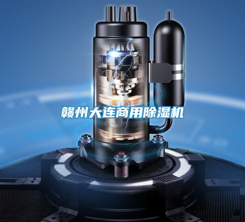 贛州大連商用除濕機(jī)