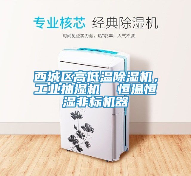 西城區(qū)高低溫除濕機，工業(yè)抽濕機  恒溫恒濕非標機器