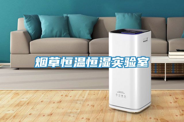 煙草恒溫恒濕實(shí)驗(yàn)室