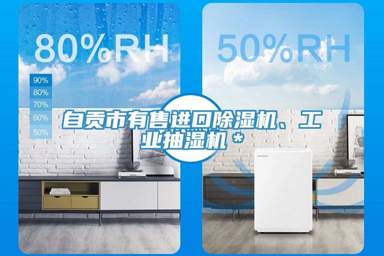 自貢市有售進(jìn)口除濕機(jī)、工業(yè)抽濕機(jī)＊