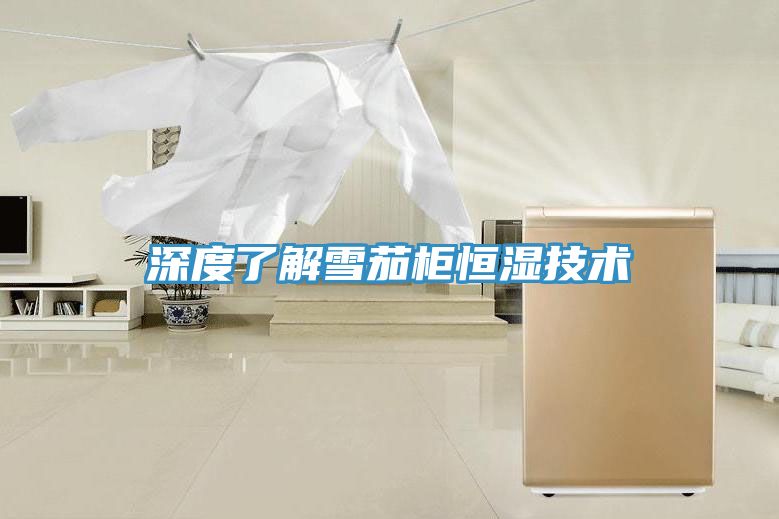 深度了解雪茄柜恒濕技術