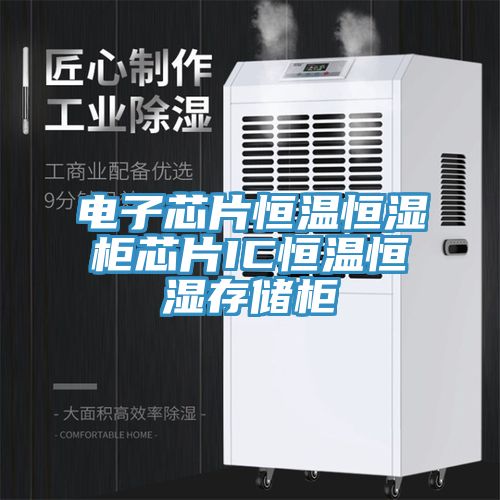 電子芯片恒溫恒濕柜芯片IC恒溫恒濕存儲(chǔ)柜