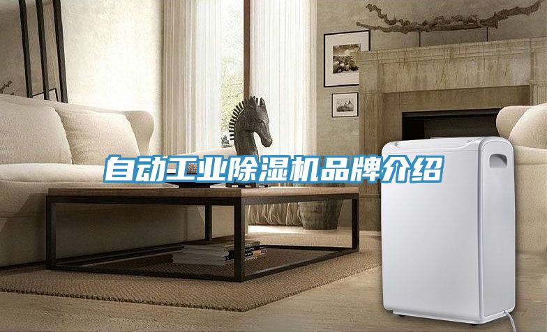 自動工業(yè)除濕機(jī)品牌介紹