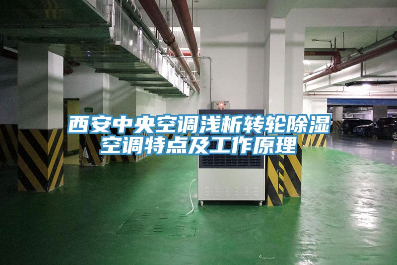 西安中央空調(diào)淺析轉(zhuǎn)輪除濕空調(diào)特點及工作原理