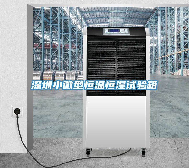 深圳小微型恒溫恒濕試驗箱