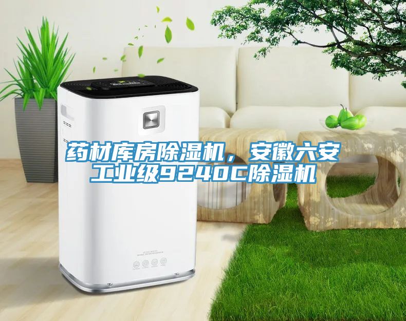 藥材庫房除濕機(jī)，安徽六安工業(yè)級9240C除濕機(jī)