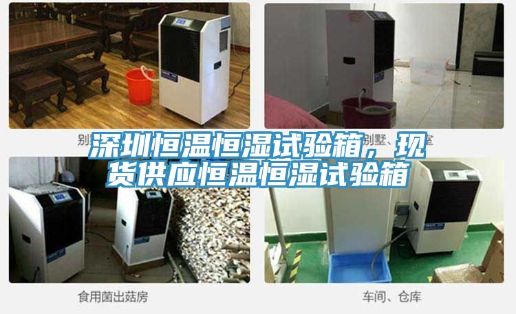 深圳恒溫恒濕試驗(yàn)箱，現(xiàn)貨供應(yīng)恒溫恒濕試驗(yàn)箱