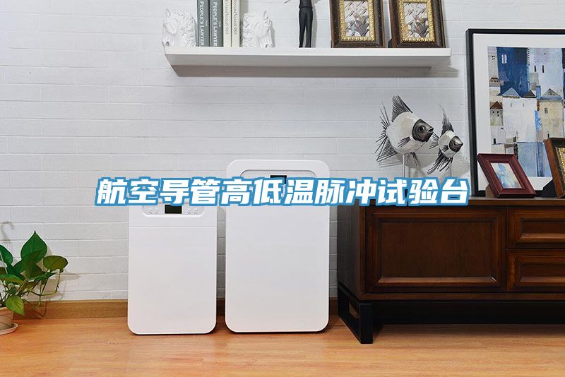 航空導(dǎo)管高低溫脈沖試驗(yàn)臺(tái)