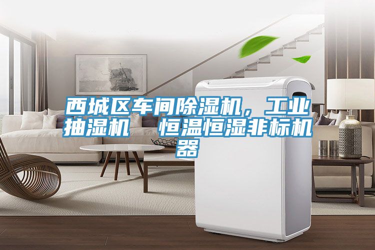西城區(qū)車間除濕機，工業(yè)抽濕機  恒溫恒濕非標機器