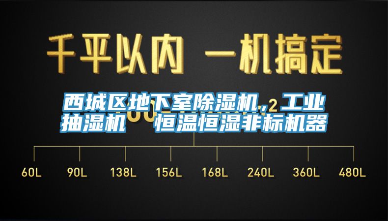 西城區(qū)地下室除濕機，工業(yè)抽濕機  恒溫恒濕非標機器