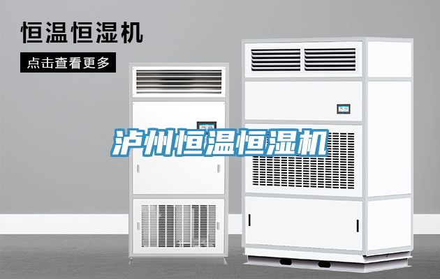瀘州恒溫恒濕機