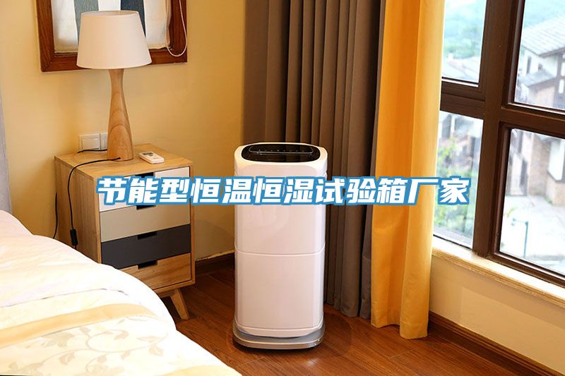 節(jié)能型恒溫恒濕試驗箱廠家