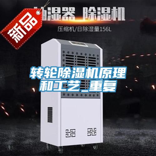 轉(zhuǎn)輪除濕機原理和工藝_重復