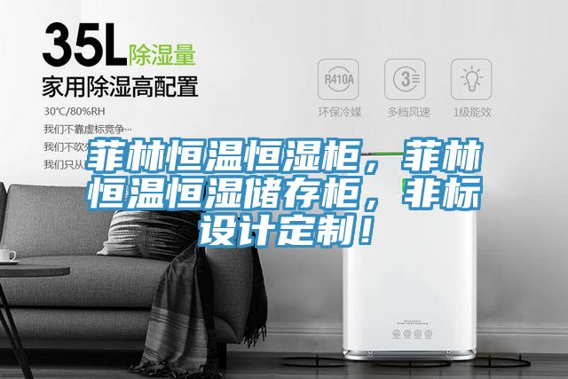 菲林恒溫恒濕柜，菲林恒溫恒濕儲存柜，非標設(shè)計定制！